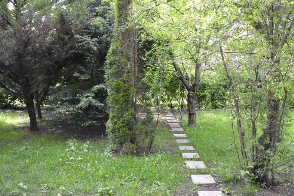 Leleka Hostel Esbly Exteriér fotografie